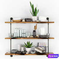 Shelves dishes and flowers 3D Model Vray