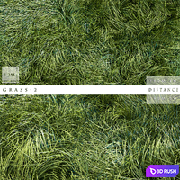 GRASS 2 3D Model Vray