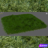 GRASS 2 3D Model Vray