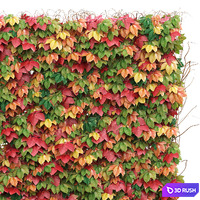 Decorative wall of autumn leaves of grapes 3D Model Corona