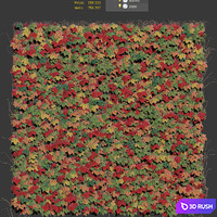 Decorative wall of autumn leaves of grapes 3D Model Corona