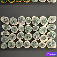 Vertical garden 8. Vertical garden, phyto wall, eco, eco-design, wall decor, green picture, panel, wooden cut, timber, phyto module 3D Model Vray