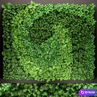 Vertical garden 14. vertical garden, green wall, phytomodule, eco design, picture of flowers, plants on the wall 3D Model Vray