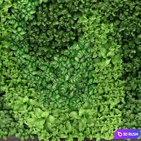 Vertical garden 14. vertical garden, green wall, phytomodule, eco design, picture of flowers, plants on the wall 3D Model Vray