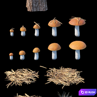 Forestry set 2 3D Model Corona