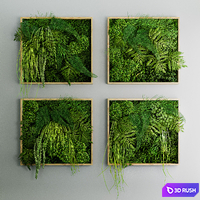 Set of moss and fern phyto modules 3D Model Vray, Corona