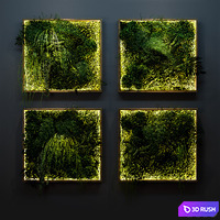 Set of moss and fern phyto modules 3D Model Vray, Corona