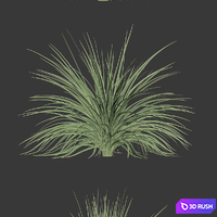 Plants for Exterior v2 3D Model Vray, Corona