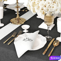 Table setting 07 3D Model Vray