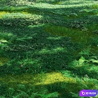 Forest plants 3D Model Corona