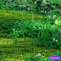 Forest plants 3D Model Corona