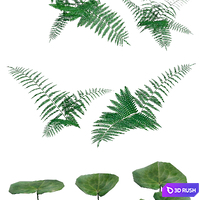 Forest plants 3D Model Corona