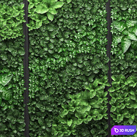 Vertical garden 20. Landscaping, painting, phytowall, phytomodule, wall decor 3D Model Vray
