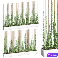 Ivy partition