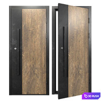 Entrance doors 5 3D Model Corona