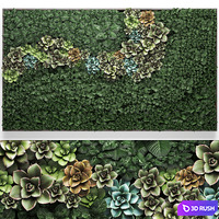 Vertical gardening a garden of plants in a composition of succulents, Echeveria, phytosten, phytomodule, painting. Set 52. 3D Model Vray