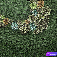 Vertical gardening a garden of plants in a composition of succulents, Echeveria, phytosten, phytomodule, painting. Set 52. 3D Model Vray