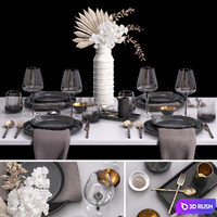 Serving with dry plants 3D Model Vray