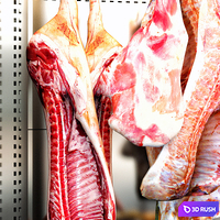 Meat and Dry Ager Showcase 3D Model Vray