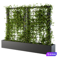 Ivy on grid 2 3D Model Vray, Corona