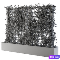 Ivy on grid 2 3D Model Vray, Corona