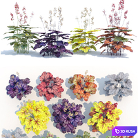 Heuchera 3D Model Vray