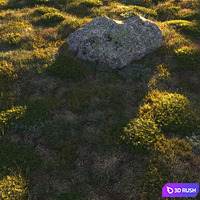 Forest grass 3D Model Corona