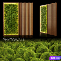 PhytoWall 3D Model Corona