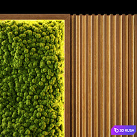 PhytoWall 3D Model Corona