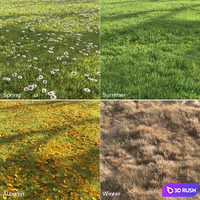 Four seasons grass 3D Model Corona