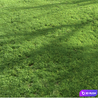 Four seasons grass 3D Model Corona
