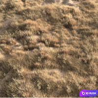 Four seasons grass 3D Model Corona
