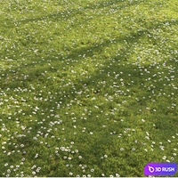 Four seasons grass 3D Model Corona