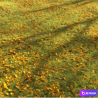 Four seasons grass 3D Model Corona