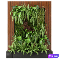 Indoor Wall Plants in rusty Concrete Pot - Set 22 3D Model Vray