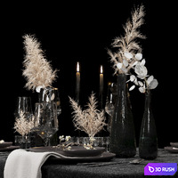 Table Setting 3D Model Corona