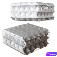 Tray of Eggs Wrapped in Cling Film 3D Model Vray, Corona