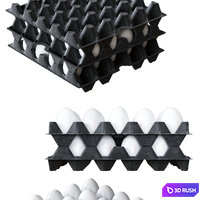 Tray of Eggs Wrapped in Cling Film 3D Model Vray, Corona