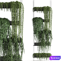 Vertical gardening Succulents, hanging plants, a black shelf, a Krestovnik, a phytostena, a phytomodule. Set 65 3D Model Vray