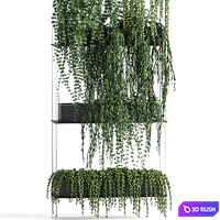 Vertical gardening Succulents, hanging plants, a black shelf, a Krestovnik, a phytostena, a phytomodule. Set 65 3D Model Vray