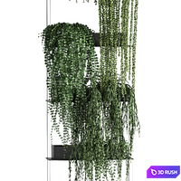 Vertical gardening Succulents, hanging plants, a black shelf, a Krestovnik, a phytostena, a phytomodule. Set 65 3D Model Vray