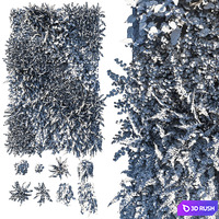 Vertical Garden Green Wall 09 3D Model Corona
