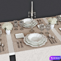 Table setting 11 3D Model Vray