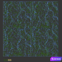 Grass Set GS01 3D Model Corona