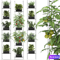 Vertical gardening kitchen garden garden with vegetables, tomatoes, peppers, herbs, lettuce, rosemary. Set 69 3D Model Vray
