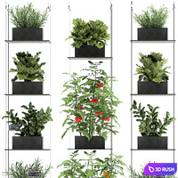 Vertical gardening kitchen garden garden with vegetables, tomatoes, peppers, herbs, lettuce, rosemary. Set 69 3D Model Vray