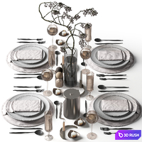 Tableware set 034 3D Model Corona