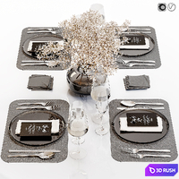 Table setting / Table setting 38