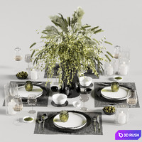 Tableware set10