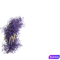 thumb image